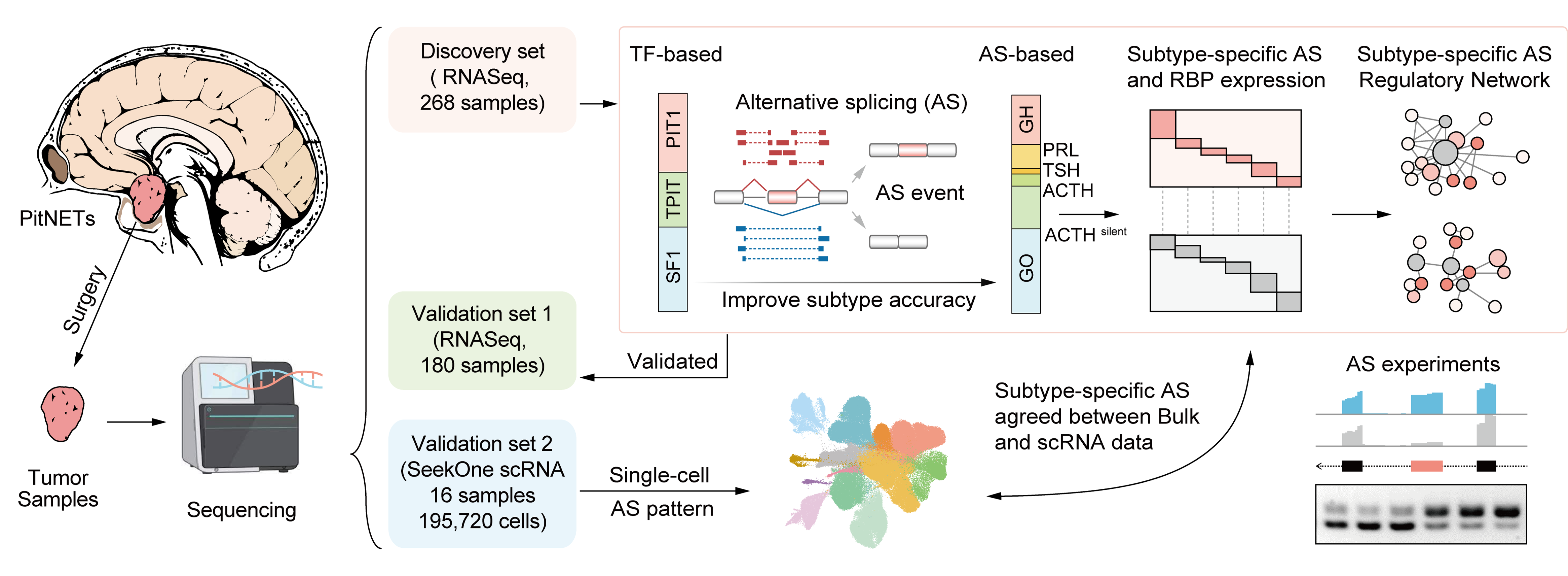 PitNETs Subtyping
